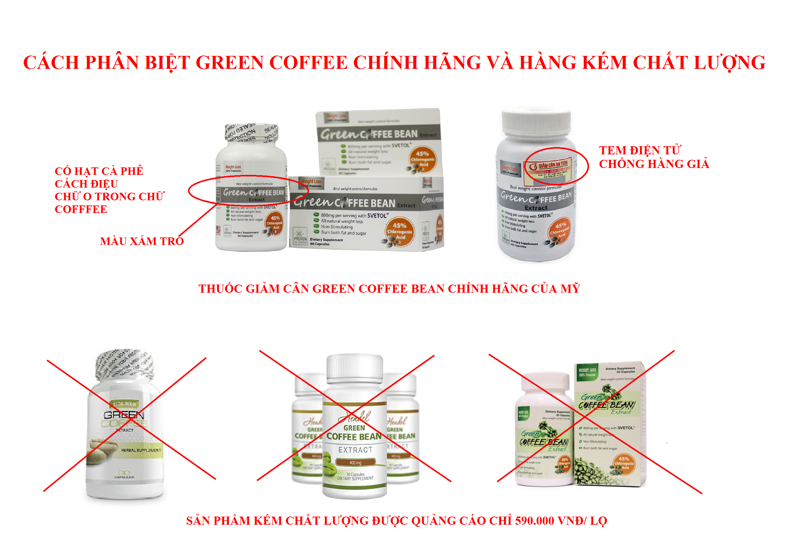cách phân biệt thật giả green coffee bean 2